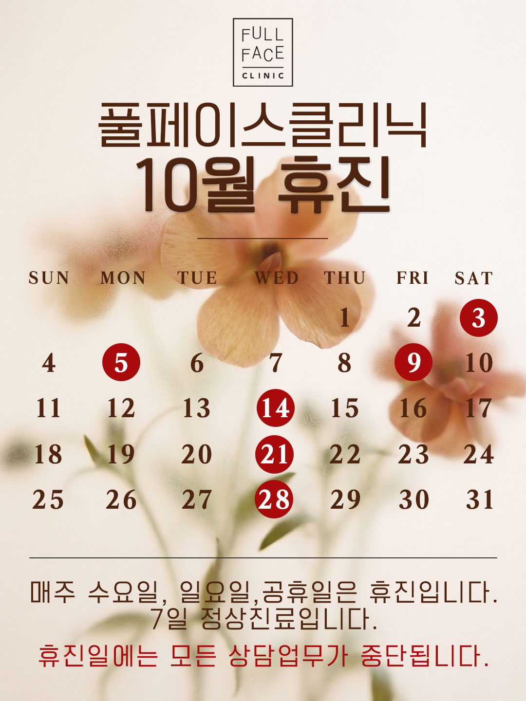팝업